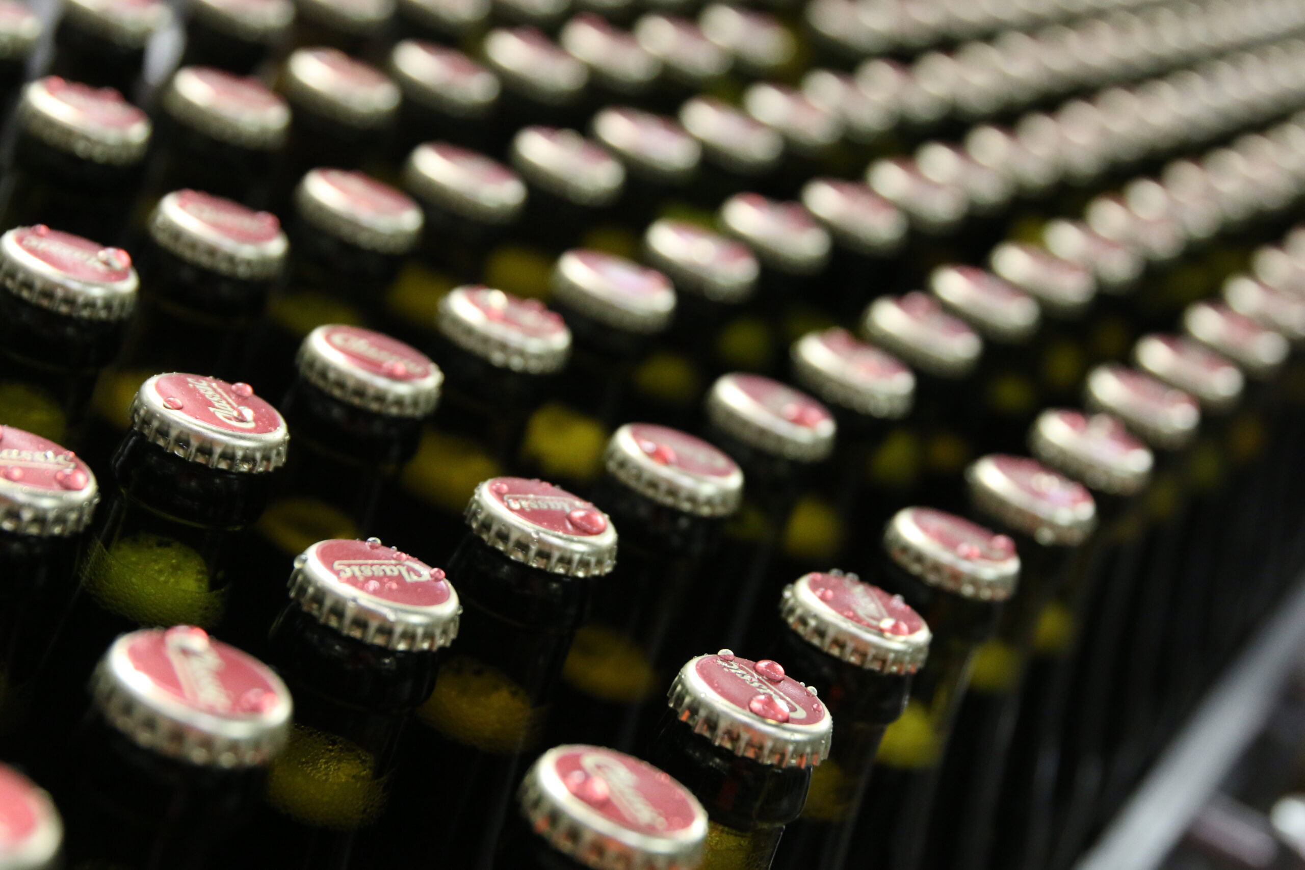 Bryggeriet Vestfyen - Vestfyen Classic - Produktion - Flasker på samlebånd (2)